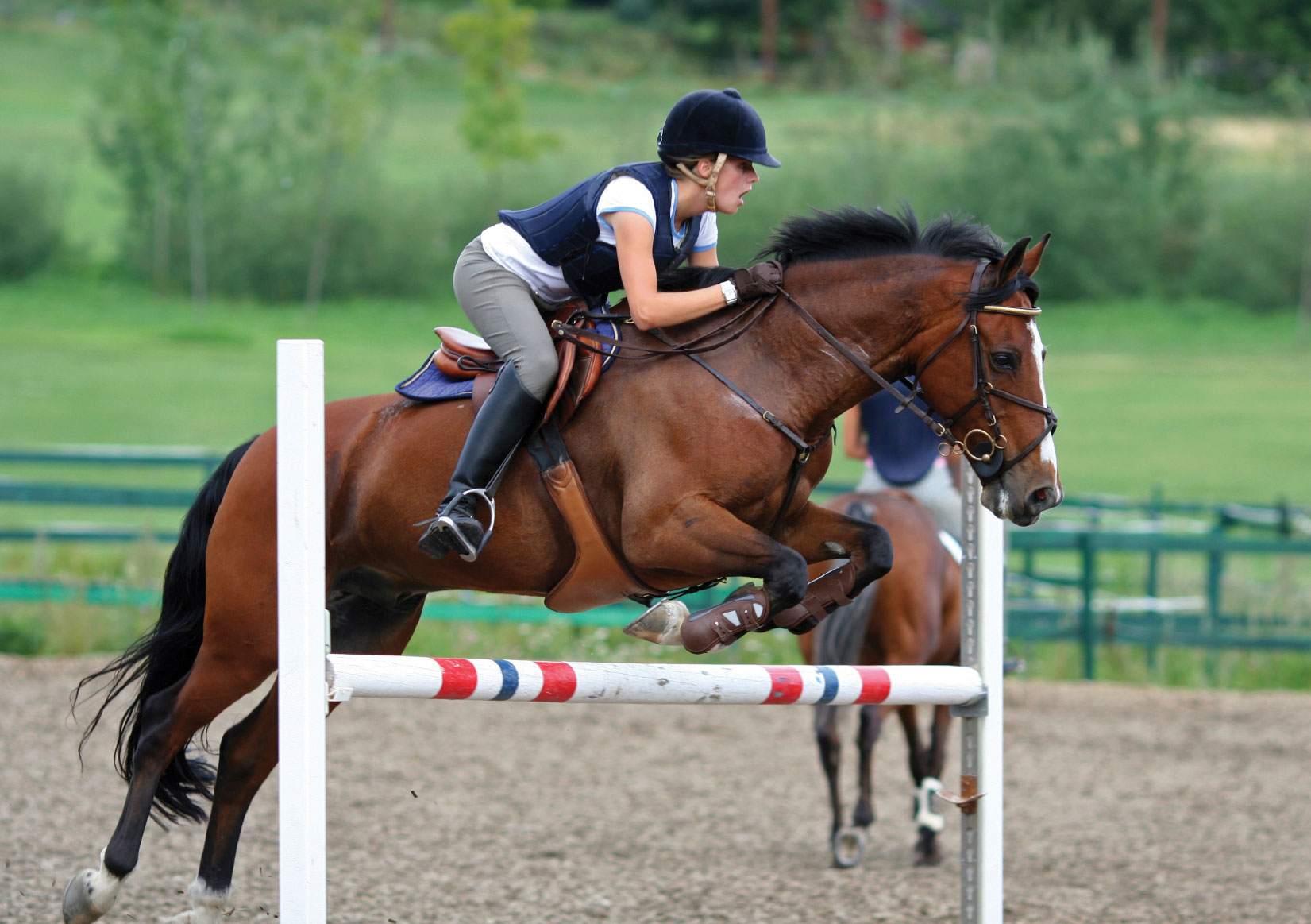 girl-horse-jumping.jpg
